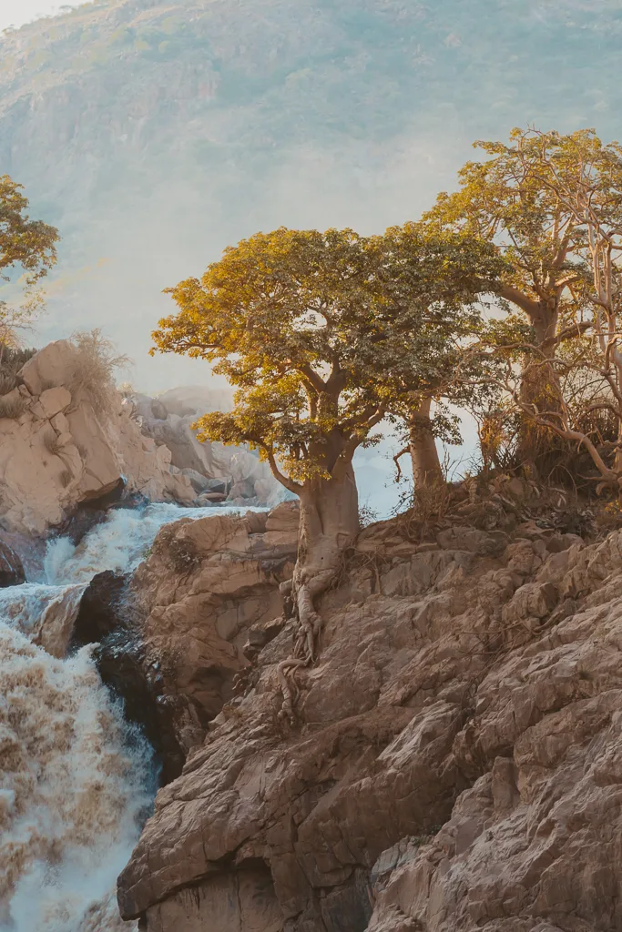 Baobab trees at the top of Epupa Falls, Kunene River
