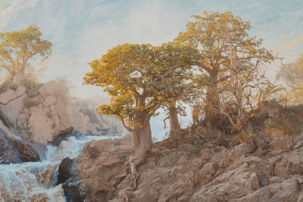 epupa falls trees along kunene river