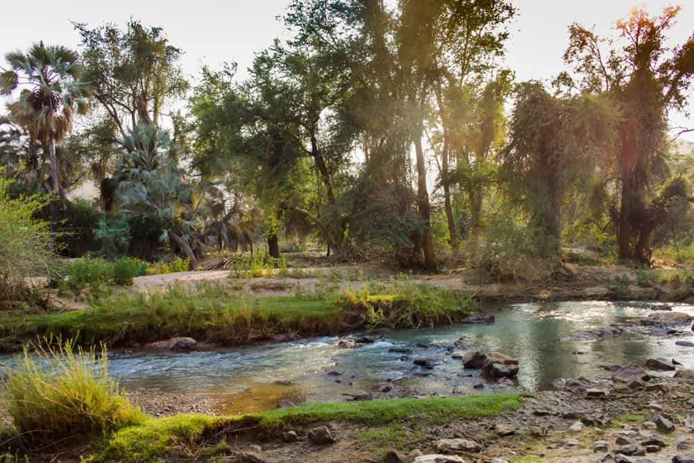 Kunene River walking activity at epupa falls lodge