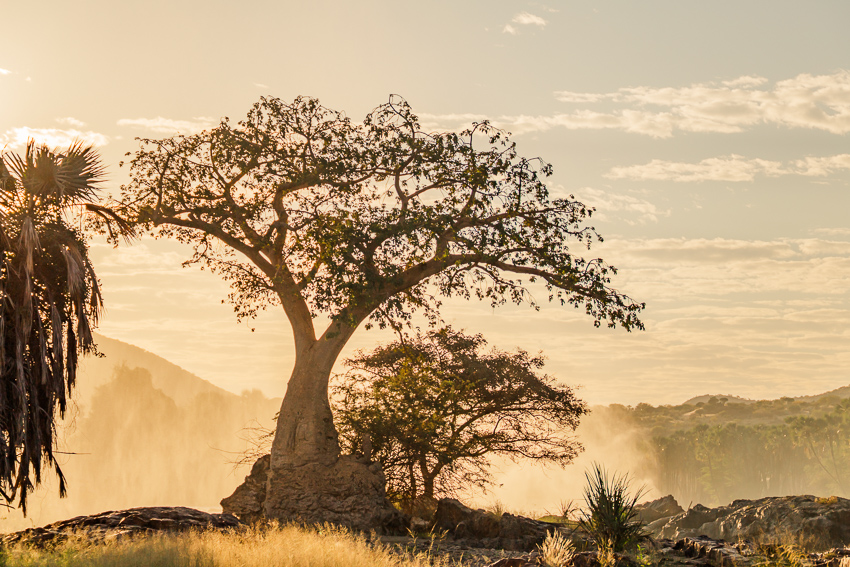 epupa falls baobabs