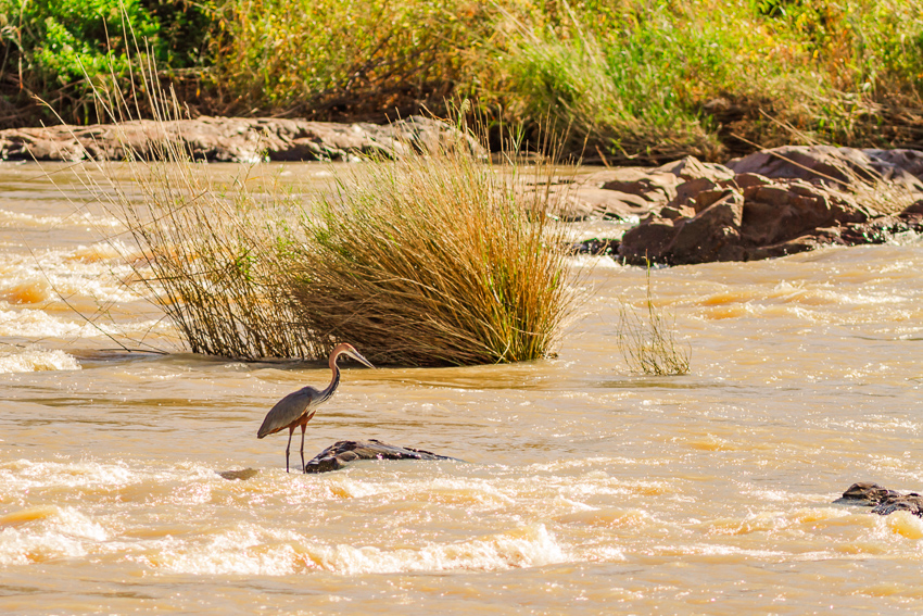epupa falls wildlife